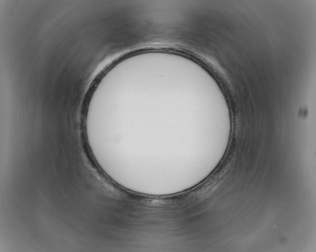 X0000090881412200708171636