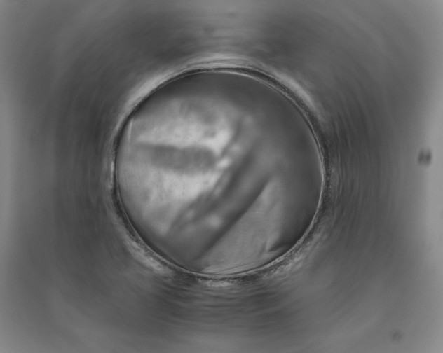 X0000090881413200708171636