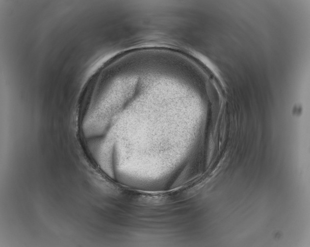 X0000090881415200708171636