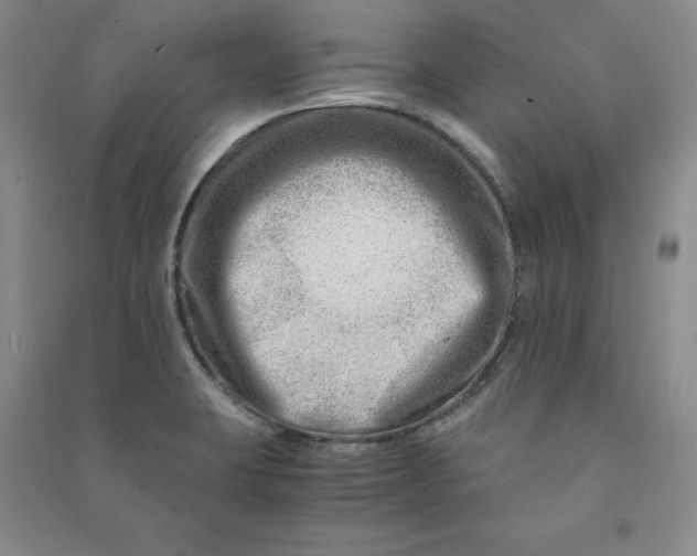 X0000090881423200708171636