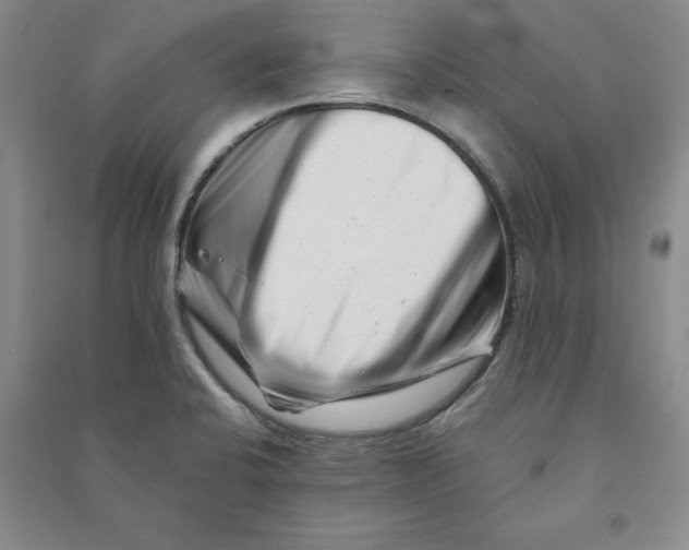 X0000090881424200708171636