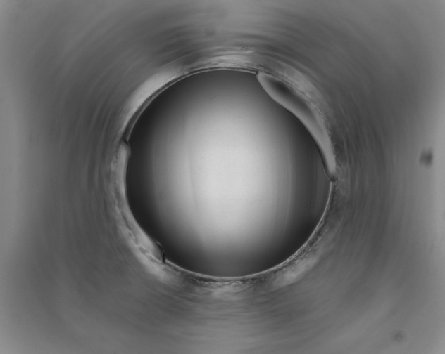 X0000090881426200708171636