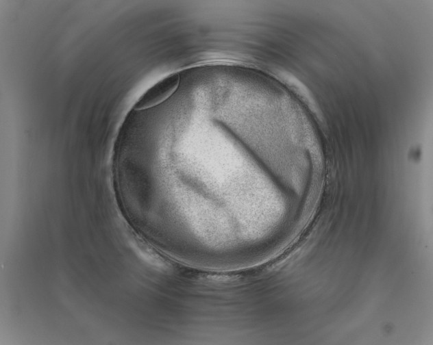 X0000090881427200708171637