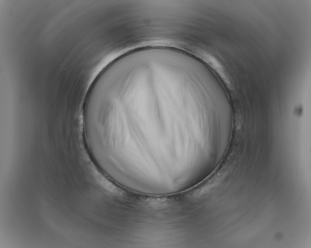 X0000090881428200708171637