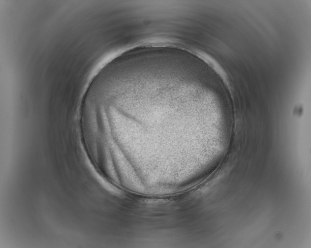 X0000090881429200708171637