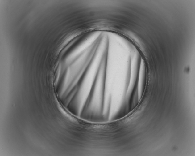 X0000090881433200708171637