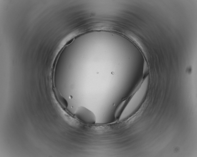 X0000090881434200708171637