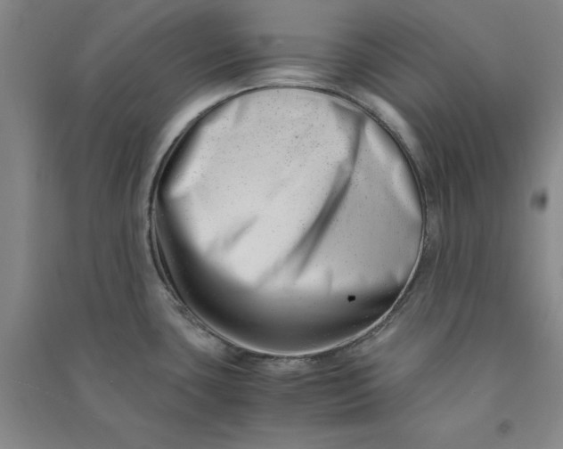 X0000090881435200708171637