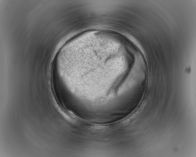 X0000090881437200708171637