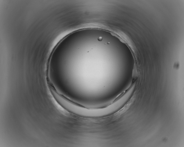 X0000090881438200708171637