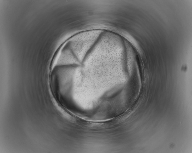 X0000090881439200708171637