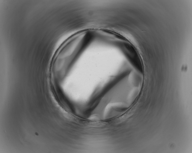 X0000090881440200708171637