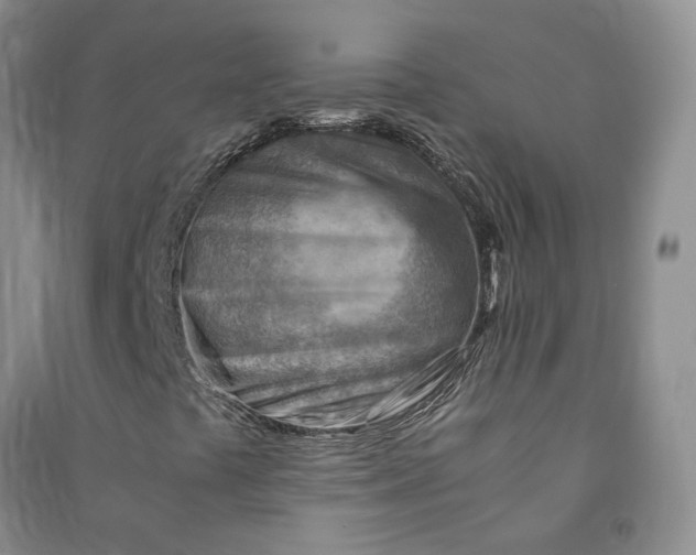 X0000090881441200708171636