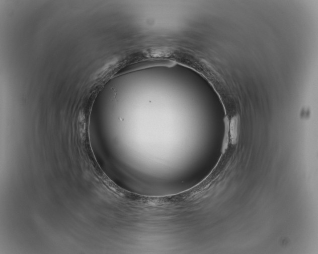 X0000090881443200708171636