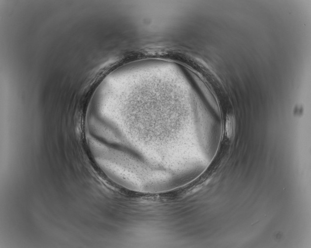 X0000090881444200708171636