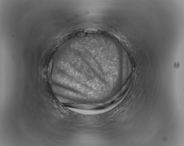 X0000090881445200708171636