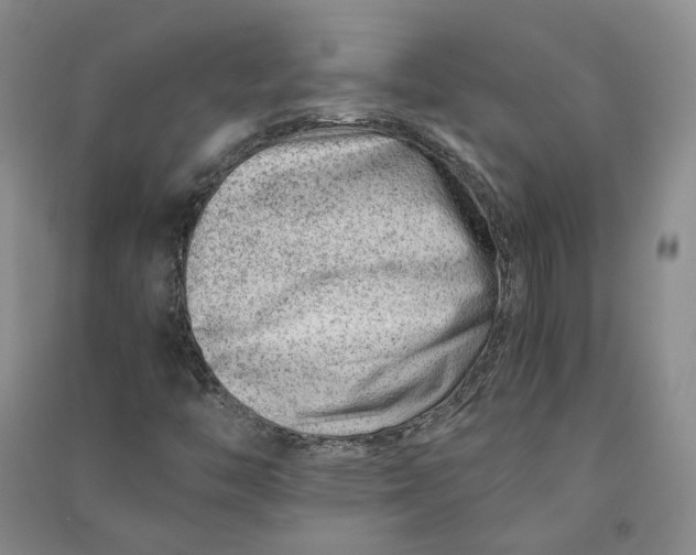 X0000090881446200708171636