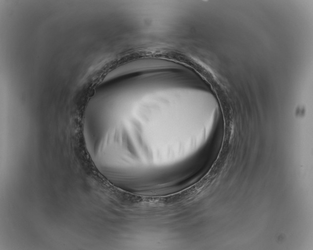X0000090881447200708171636
