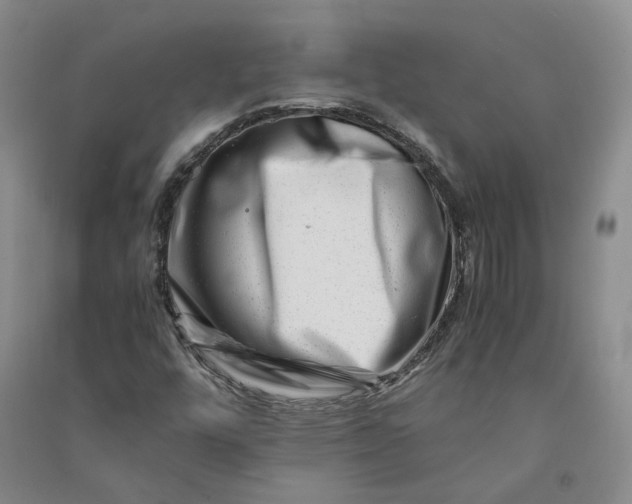 X0000090881448200708171636