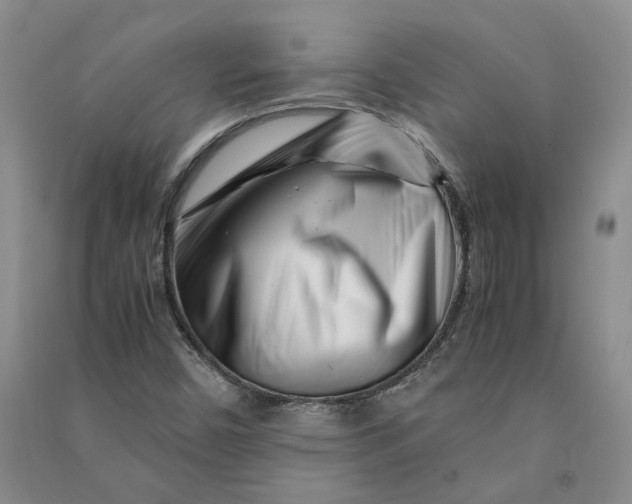X0000090881450200708171636
