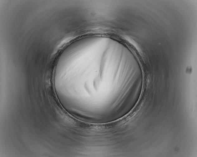 X0000090881451200708171636