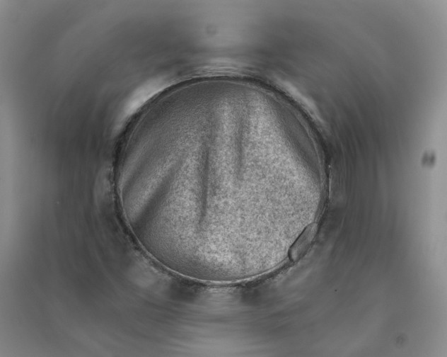 X0000090881453200708171636