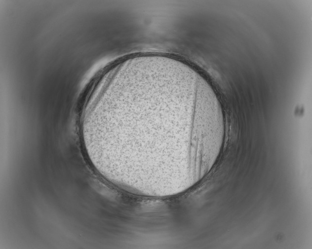 X0000090881454200708171636