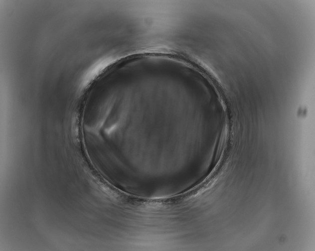 X0000090881455200708171636