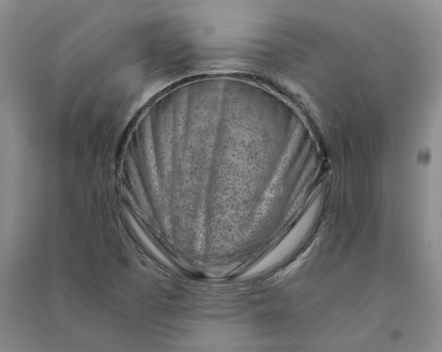 X0000090881457200708171636