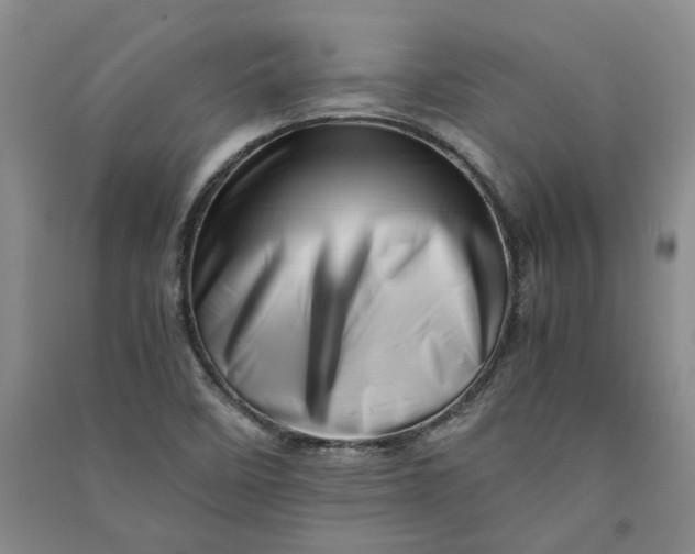X0000090881458200708171636