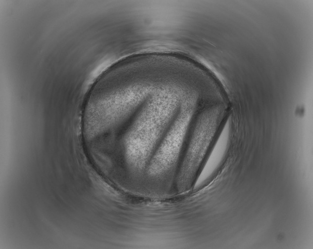 X0000090881459200708171636