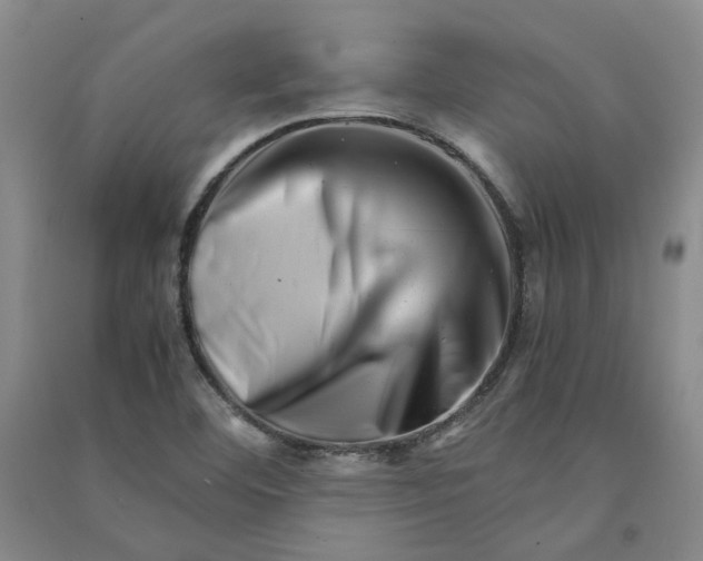 X0000090881460200708171636