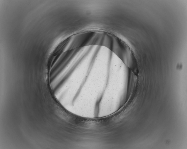 X0000090881461200708171636