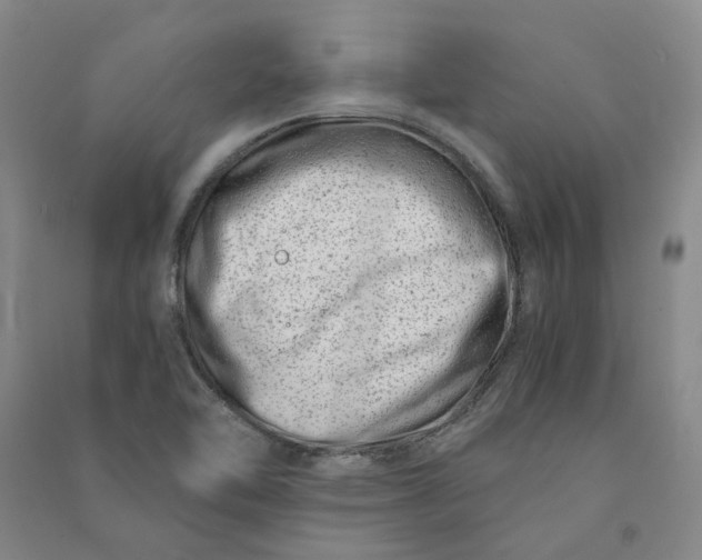 X0000090881462200708171636