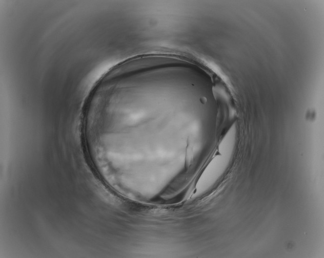 X0000090881463200708171636
