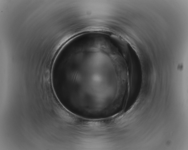 X0000090881465200708171636