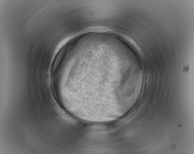 X0000090881466200708171636