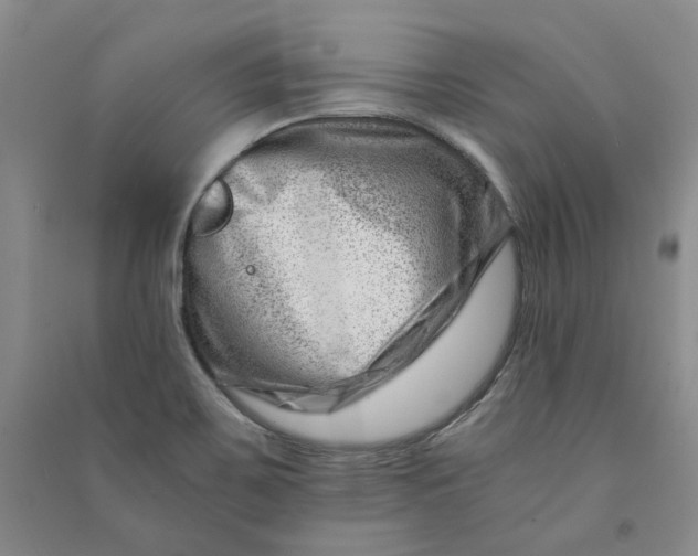 X0000090881467200708171636