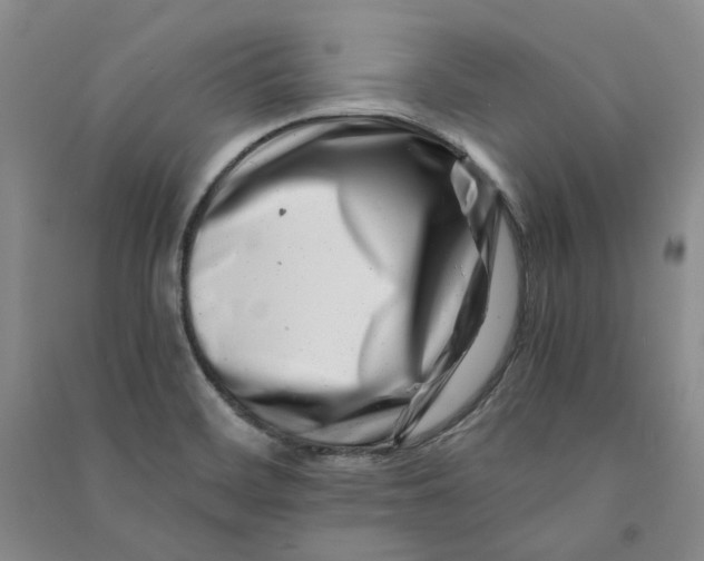 X0000090881468200708171636