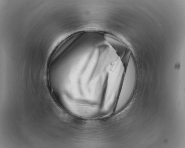 X0000090881469200708171636