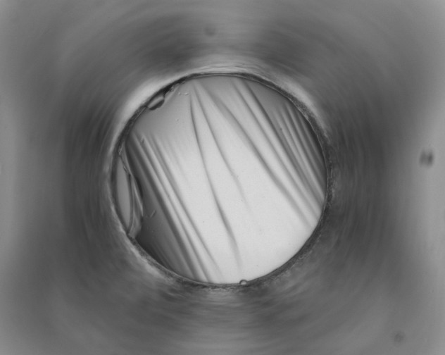 X0000090881472200708171636