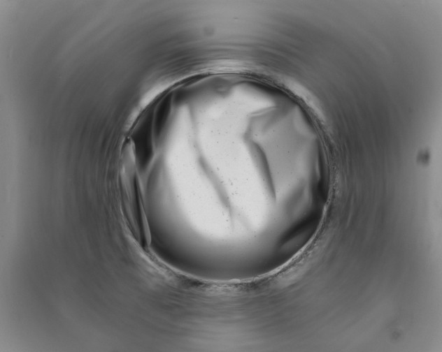 X0000090881473200708171635