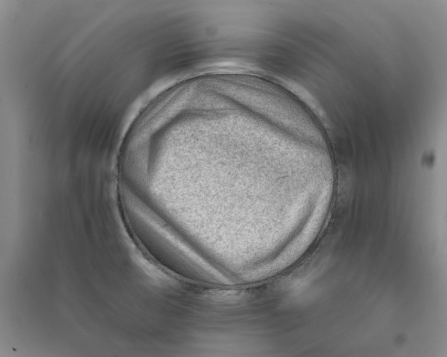 X0000090881474200708171635