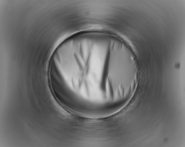 X0000090881475200708171635