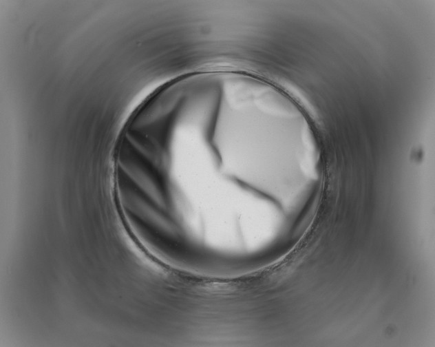 X0000090881476200708171635