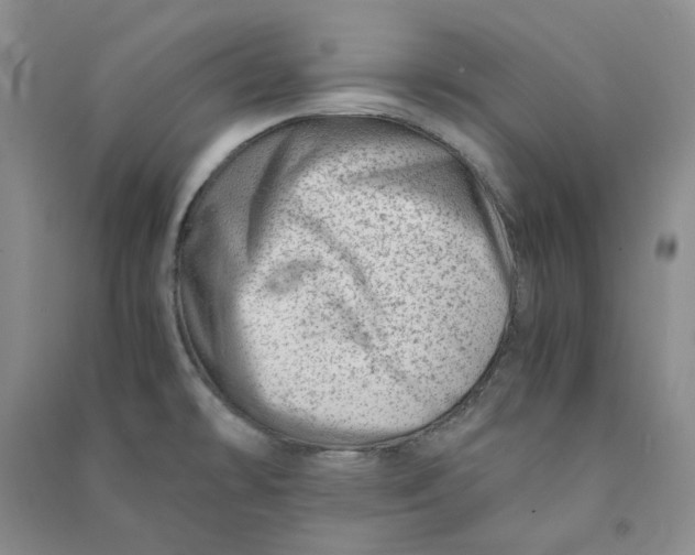 X0000090881478200708171635