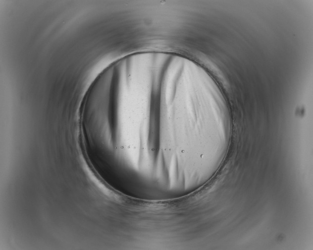 X0000090881479200708171635