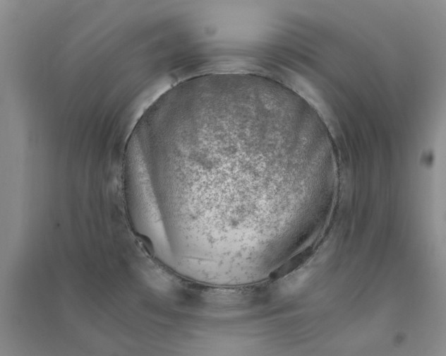 X0000090881481200708171635