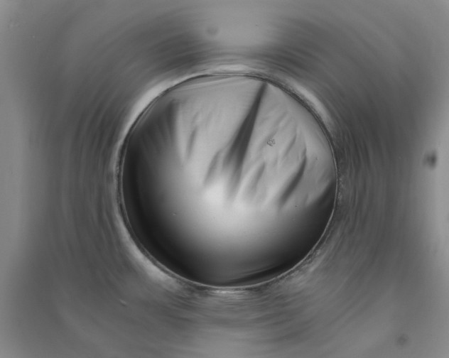 X0000090881483200708171635
