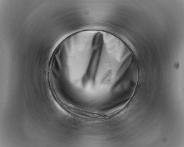 X0000090881484200708171635